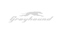 Greyhound